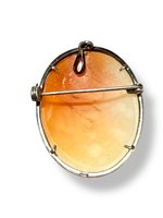 Broche Mandile 1922 Femme Cammei antichi in Argent Conchiglia 2MCICMMAU8 - 2MCICMMAU8